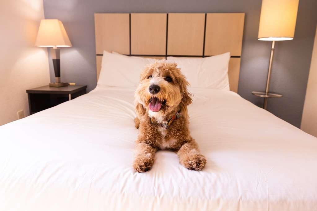 Sonesta Simply Suites Cleveland North Olmsted Airport Экстерьер фото